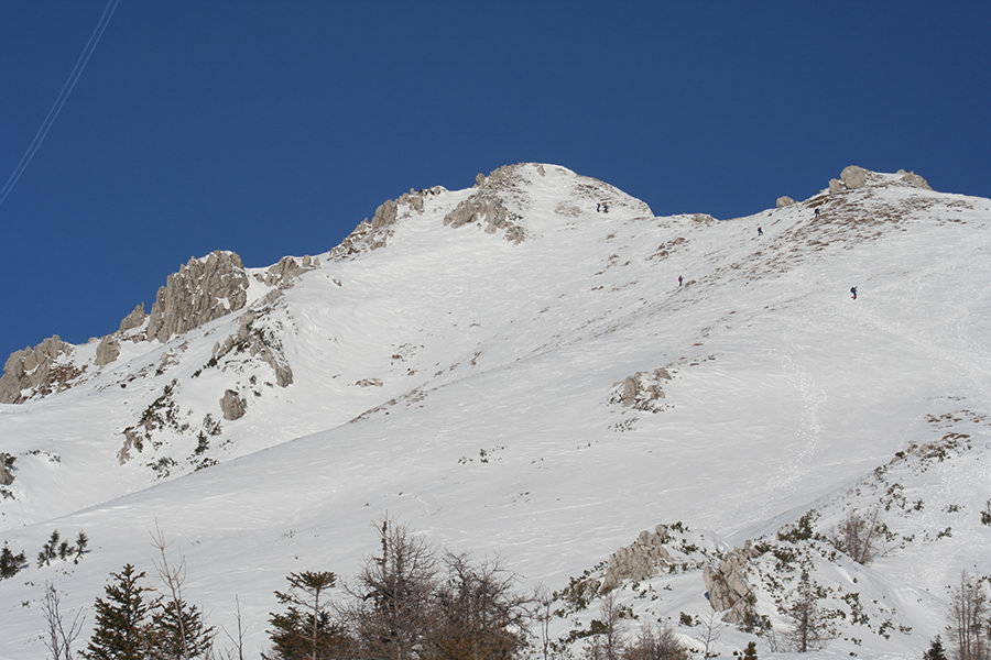 Viševnik