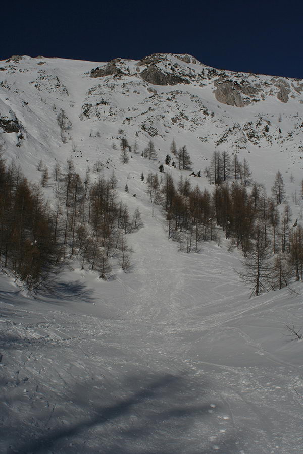 Grapa