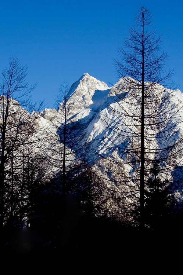 Špik